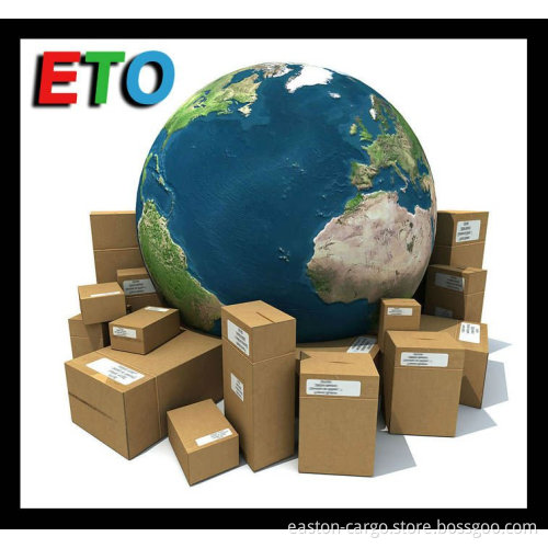 cargo agent Shanghai China to Chennai